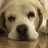 運気が上がる前の小さなサインとは?眠気や物が壊れる前兆